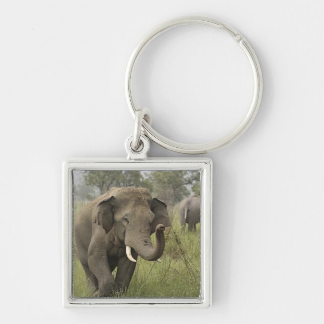 Chaveiro Cumprimento de Elefante Asiático Indiano (Frente)