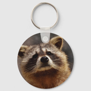 Chaveiro Curioso Raccoon