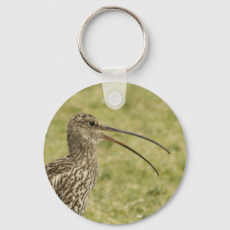 Chaveiro Curlew