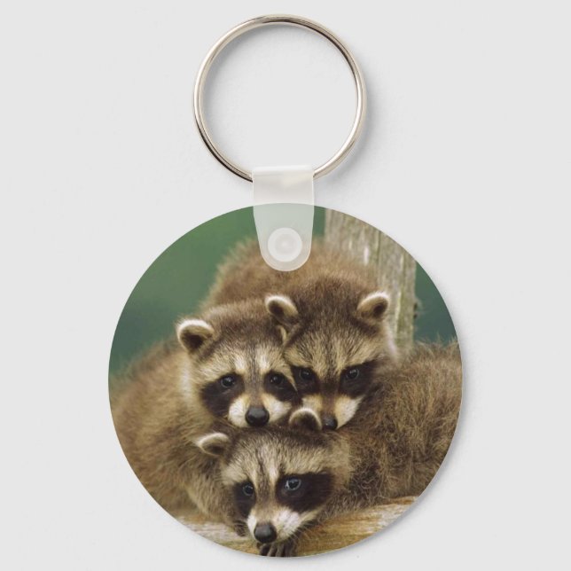 Chaveiro Cute Baby Raccoon (Frente)