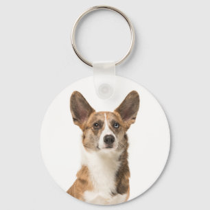 Chaveiro Cute Cardigan Welsh Corgi Puppy Dog Lover