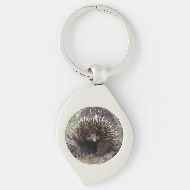 Chaveiro Cute Echidna, da Austrália (Frente)