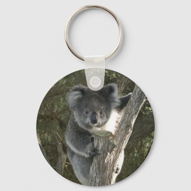 Chaveiro Cute Koala Climbing a Tree (Frente)