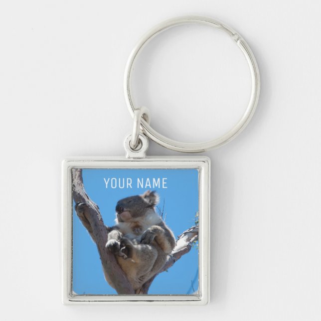Chaveiro Cute Koala dormindo em uma árvore Austrália (Frente)