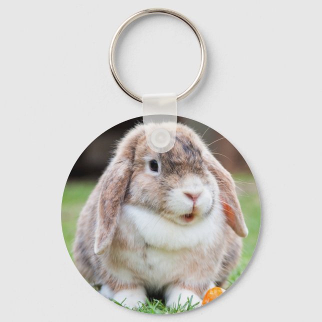 Chaveiro Cute Mini Holland Lop Bunny Rabbit (Frente)