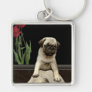 Chaveiro Cute Pug Puppy Dog Alovers Gift Series