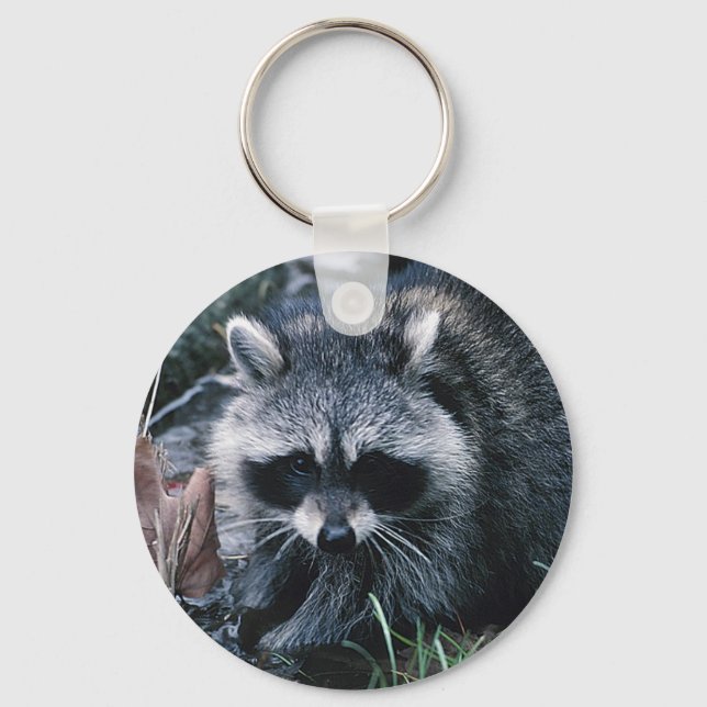 Chaveiro Cute Raccoon (Frente)