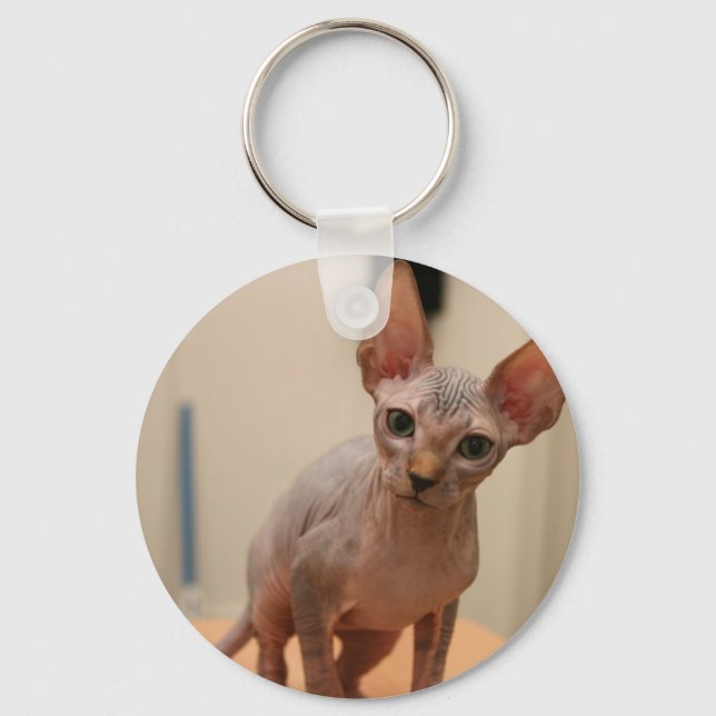 Chaveiro Cute sphynx kitten "I'm furless, are you?" (Frente)