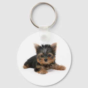 Chaveiro Cute Yorkshire Terrier Puppy