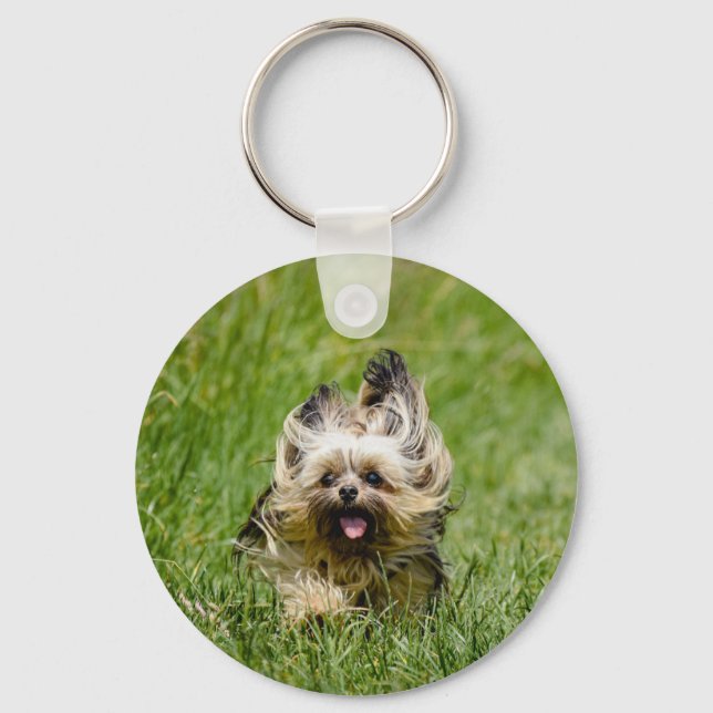 Chaveiro Cute Yorkshire Terrier Running Through Grass (Frente)