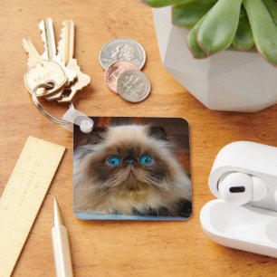 Chaveiro Cutest Baby Animals Himalayan Cat