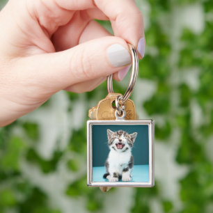 Chaveiro Cutest Baby Animals Meowing Baby Kitten