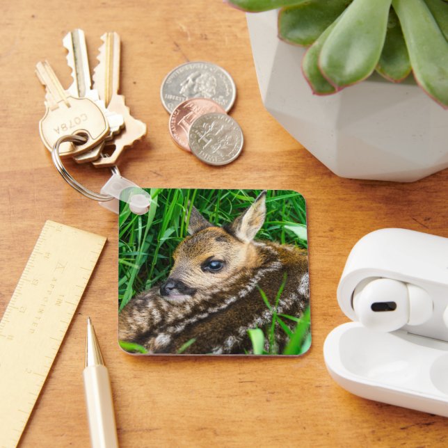 Chaveiro Cutest Baby Animals | Roe Deer Baby (Mesa)