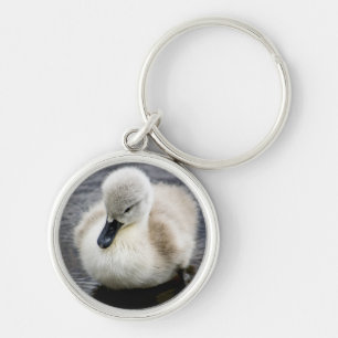 Chaveiro Cygnet da cisne   do bebê