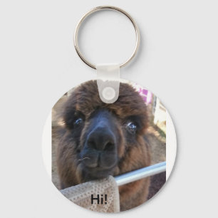 Chaveiro da alpaca