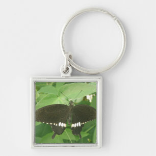 Chaveiro da Borboleta Mórmon