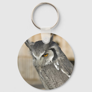Chaveiro da coruja de Scops