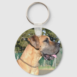 Chaveiro da foto de great dane
