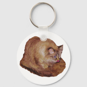Chaveiro da framboesa do gatinho de Dezi