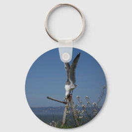 Chaveiro da gaivota