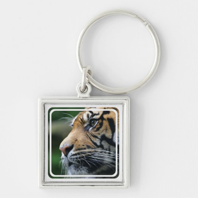 Chaveiro da imagem do tigre (Frente)