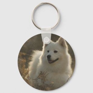 Chaveiro da raça do cão do Samoyed