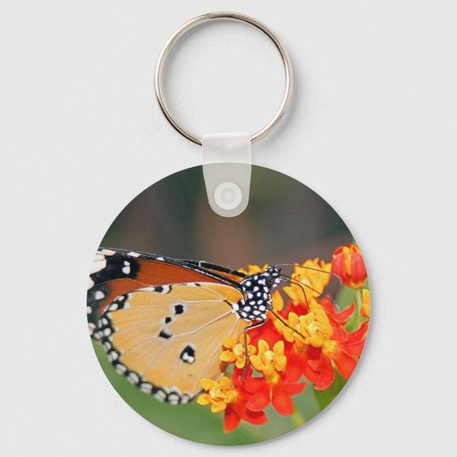 Chaveiro da Rainha Butterfly (Frente)