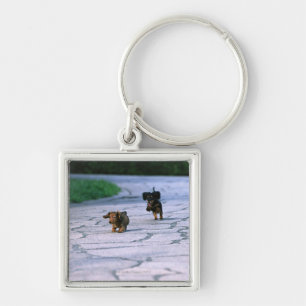 Chaveiro Dachshund diminuto 3