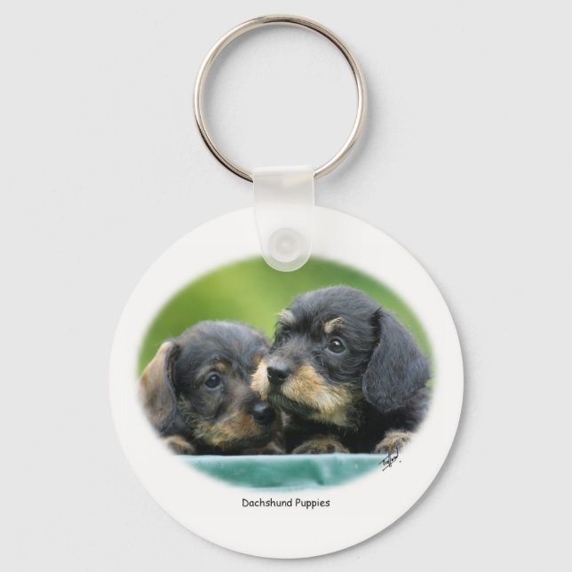Chaveiro Dachshund Puppies 9W027D-093 (Frente)