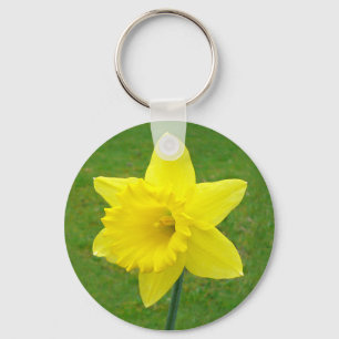 Chaveiro Daffodil de Galês
