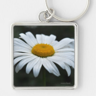 Chaveiro Daisy - Enfrentar