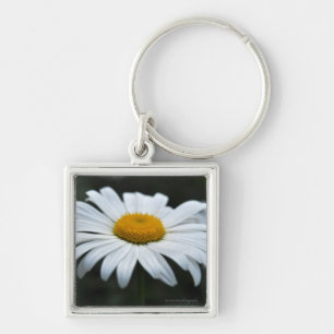 Chaveiro Daisy - Enfrentar