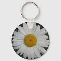 Daisy May Queen Close