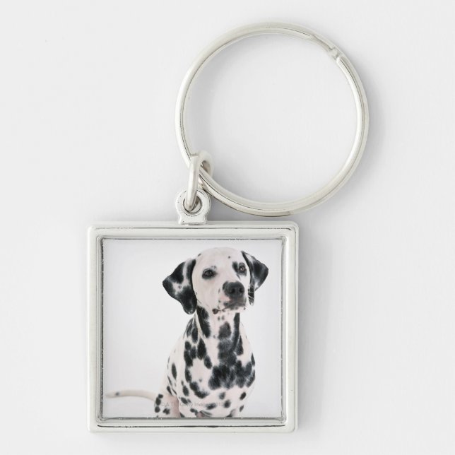 Chaveiro Dalmatian (Frente)