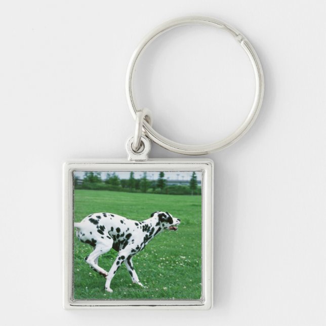 Chaveiro Dalmatian (Frente)