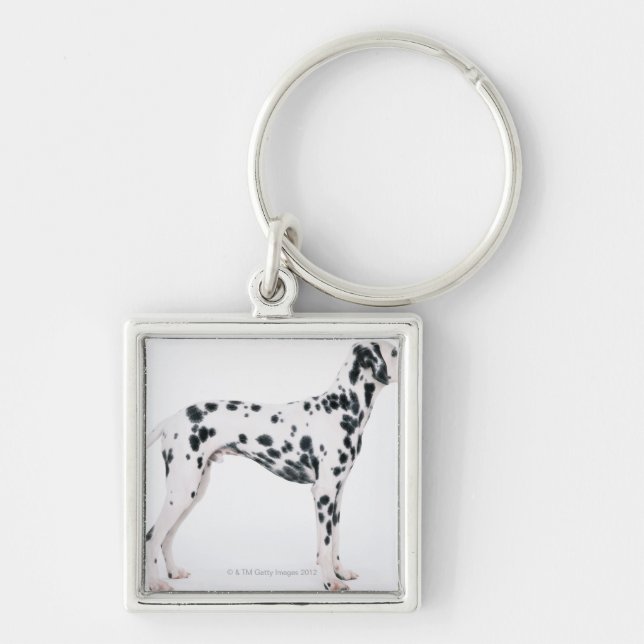 Chaveiro Dalmatian 3 (Frente)