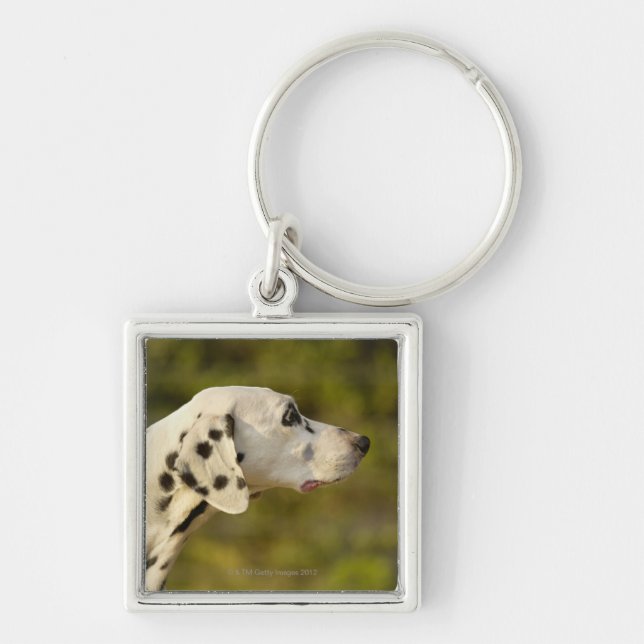 Chaveiro Dalmatian 4 (Frente)