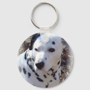 Chaveiro Dalmatian do cão do fogo