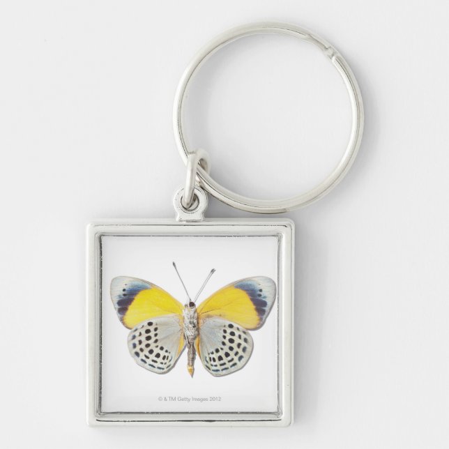 Chaveiro Davisi de Calithea (Frente)