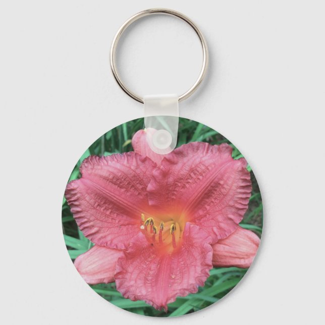 Chaveiro DAYLILY "Little Gordo Dazzler". (Frente)