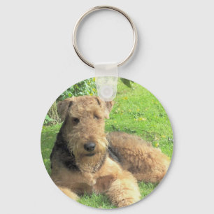 Chaveiro de Airedale Terrier