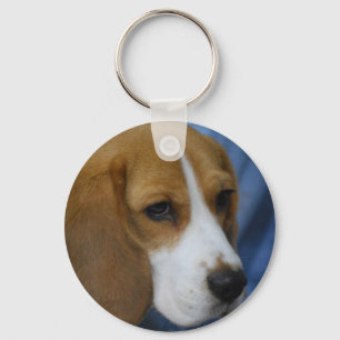 Chaveiro de Beagle em Cute