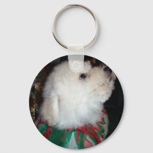 Chaveiro de Bichon Frise