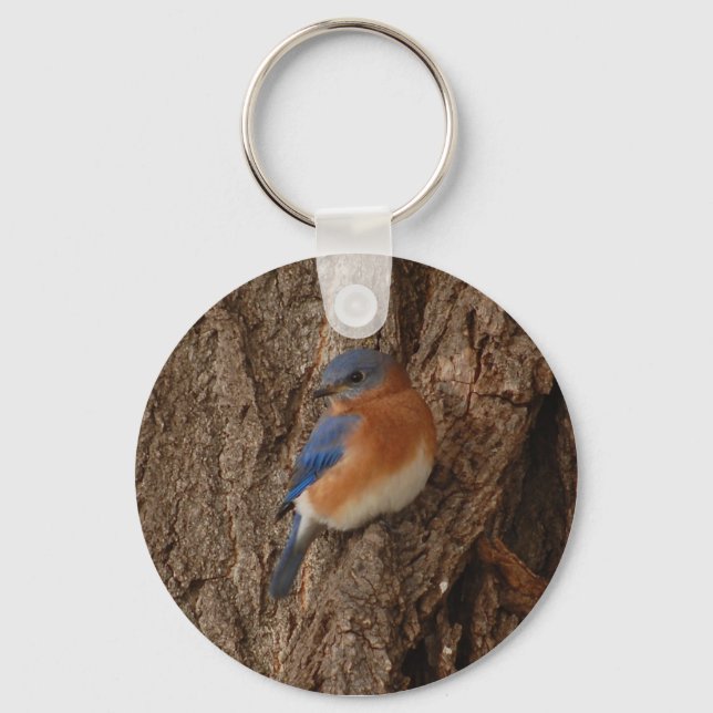 Chaveiro de Bluebird (Frente)