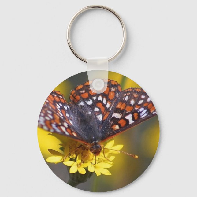 chaveiro de borboleta (Frente)