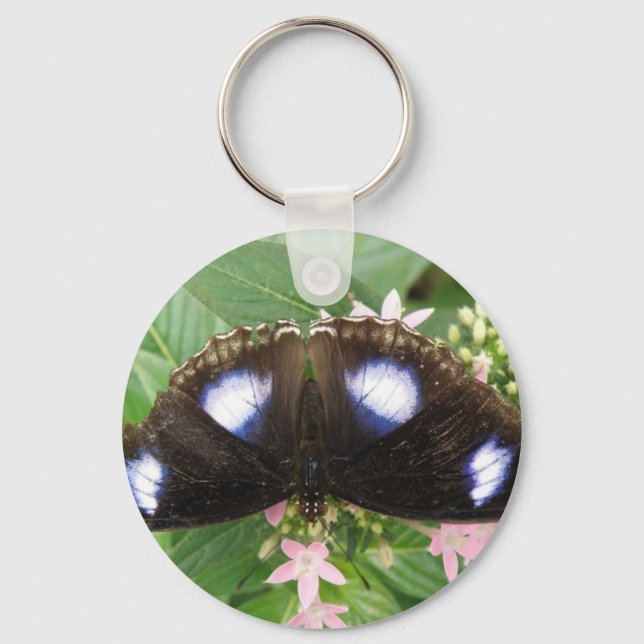 Chaveiro de Borboleta Azul (Frente)