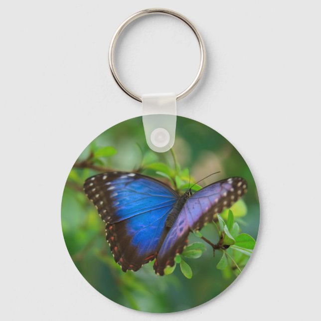 Chaveiro de Borboleta Azul Morpho (Frente)
