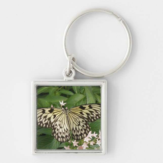 Chaveiro de borboleta de papagaio (Frente)