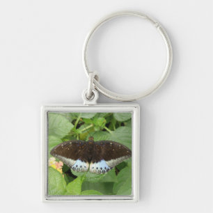 Chaveiro de Borboleta Tropical bonito