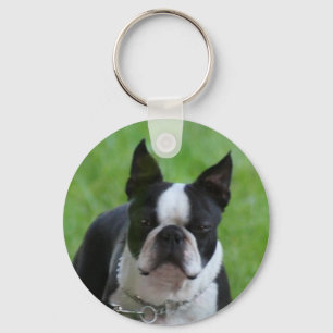 Chaveiro de Boston Terrier